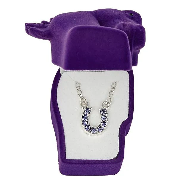 AWST Int'l Aqua Rhinestone Horseshoe Necklace w/Horse Head Gift Box - Image 13