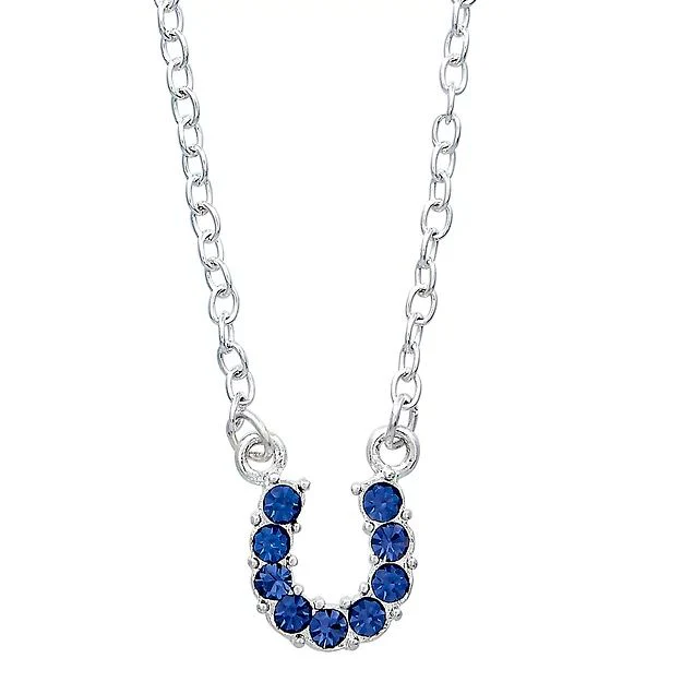 AWST Int'l Aqua Rhinestone Horseshoe Necklace w/Horse Head Gift Box - Image 14