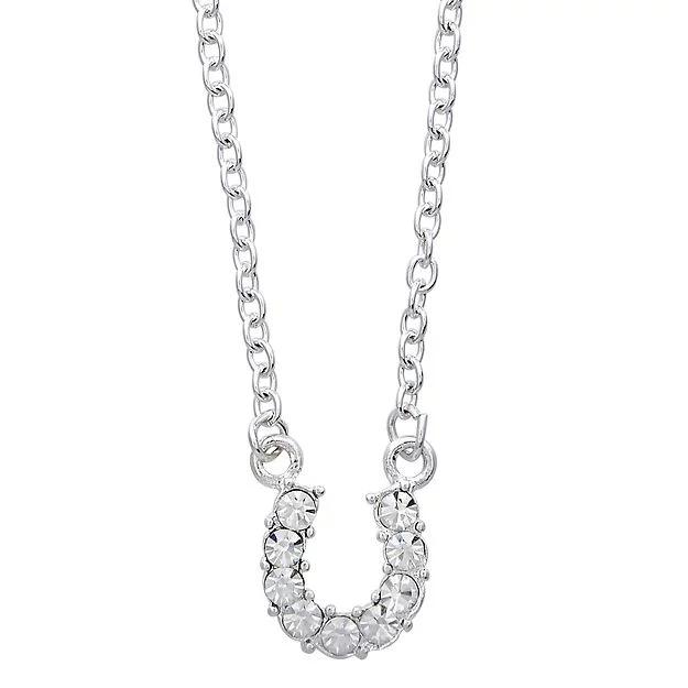 AWST Int'l Aqua Rhinestone Horseshoe Necklace w/Horse Head Gift Box - Image 5