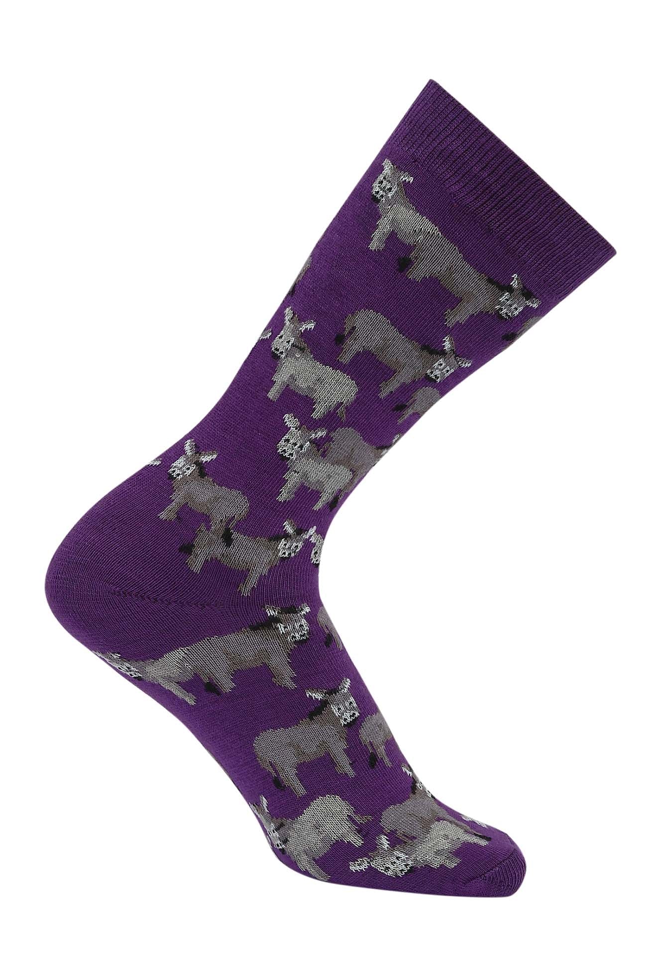 AWST Int'l Donkey Love Socks 6 pack - Image 11