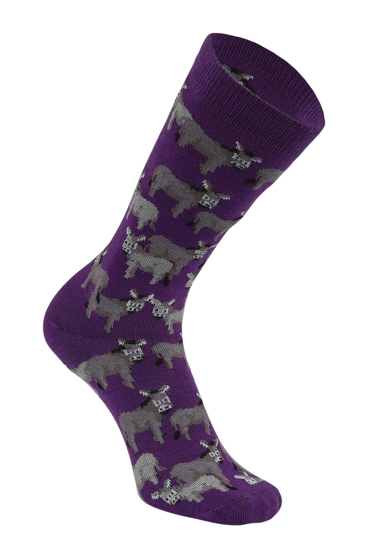 AWST Int'l Donkey Love Socks 6 pack - Image 12