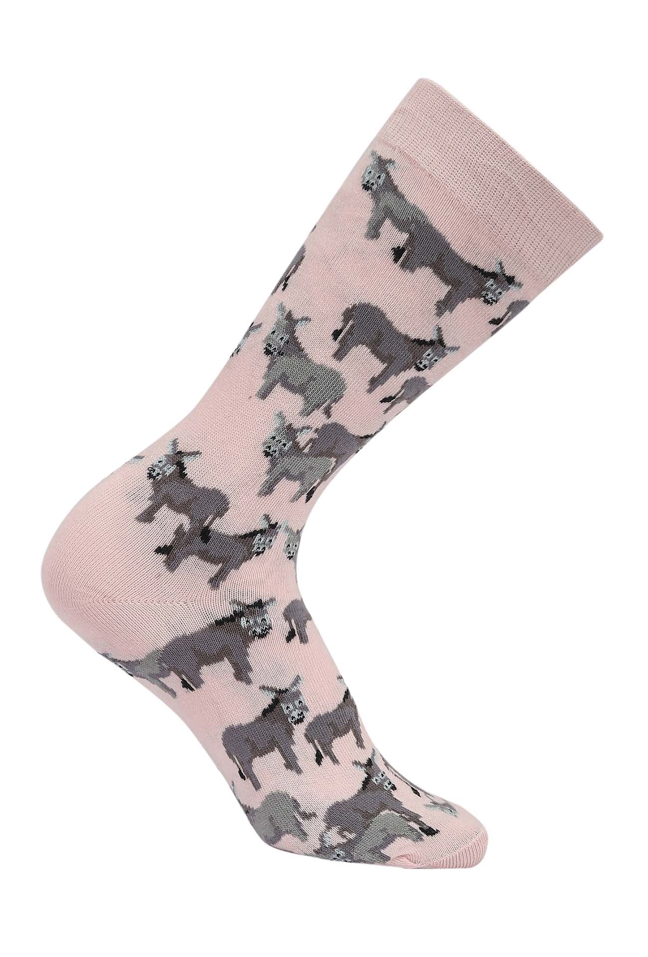 AWST Int'l Donkey Love Socks 6 pack - Image 13