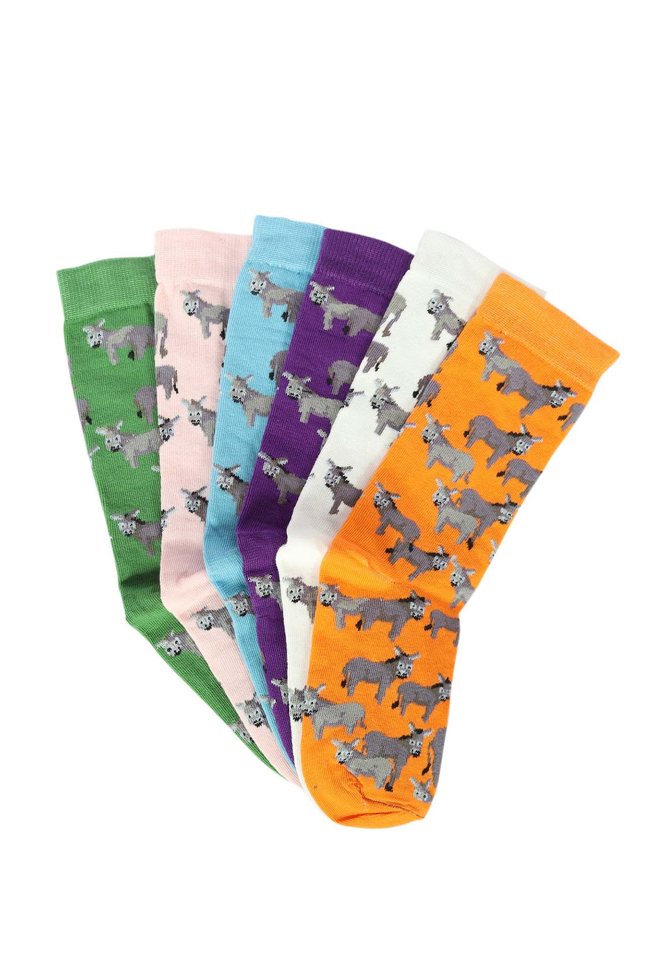 AWST Int'l Donkey Love Socks 6 pack - Image 15