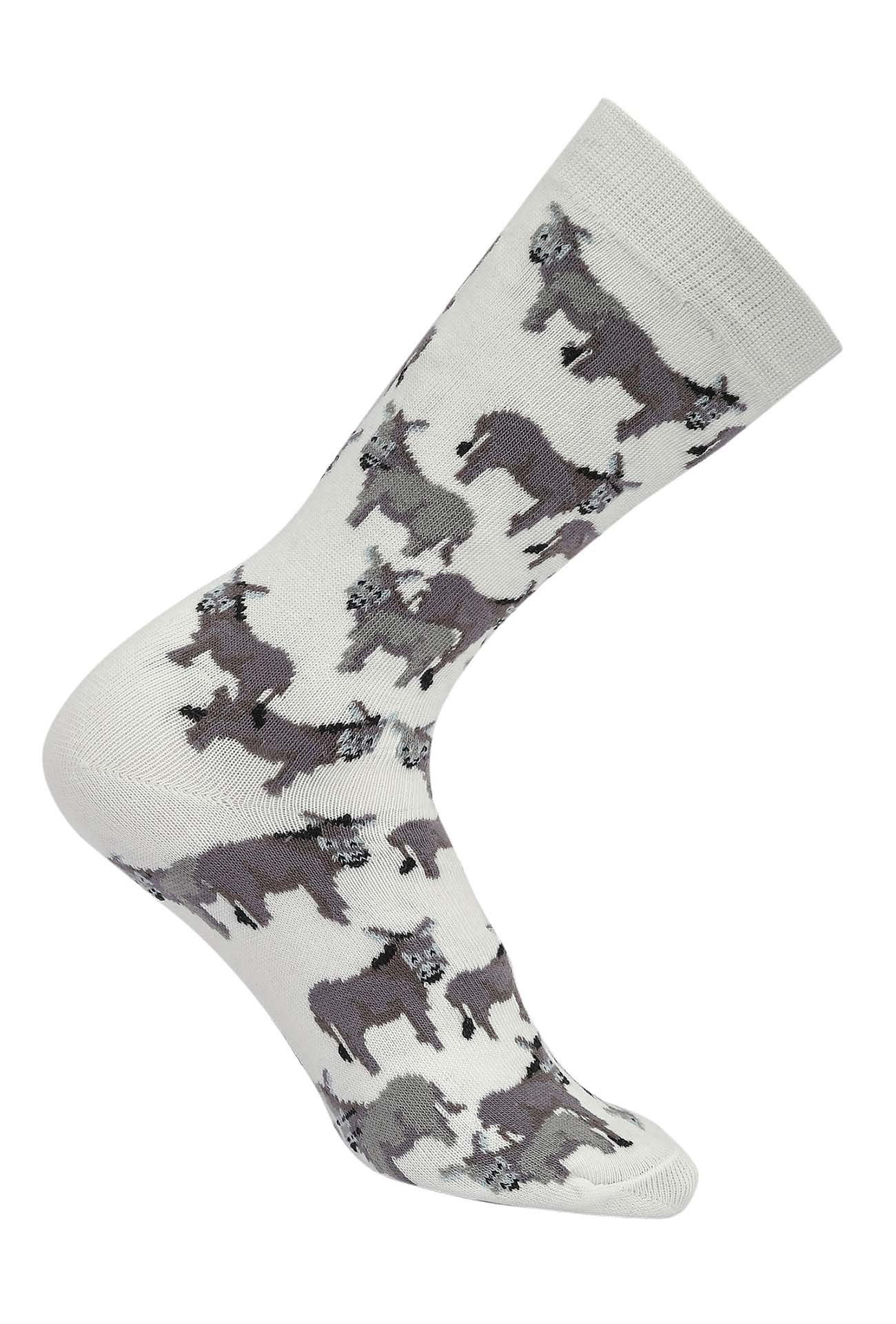 AWST Int'l Donkey Love Socks 6 pack - Image 3