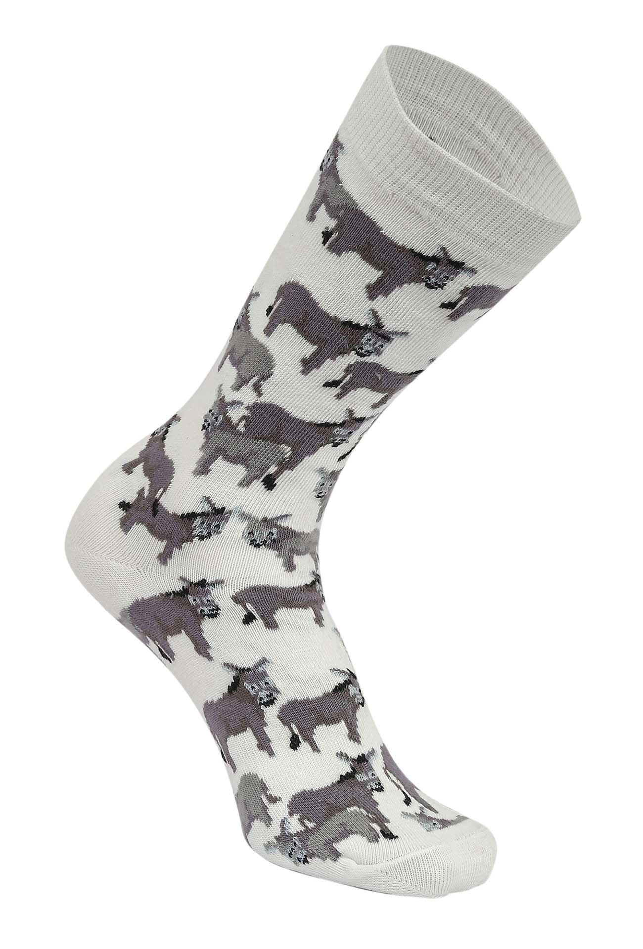 AWST Int'l Donkey Love Socks 6 pack - Image 4