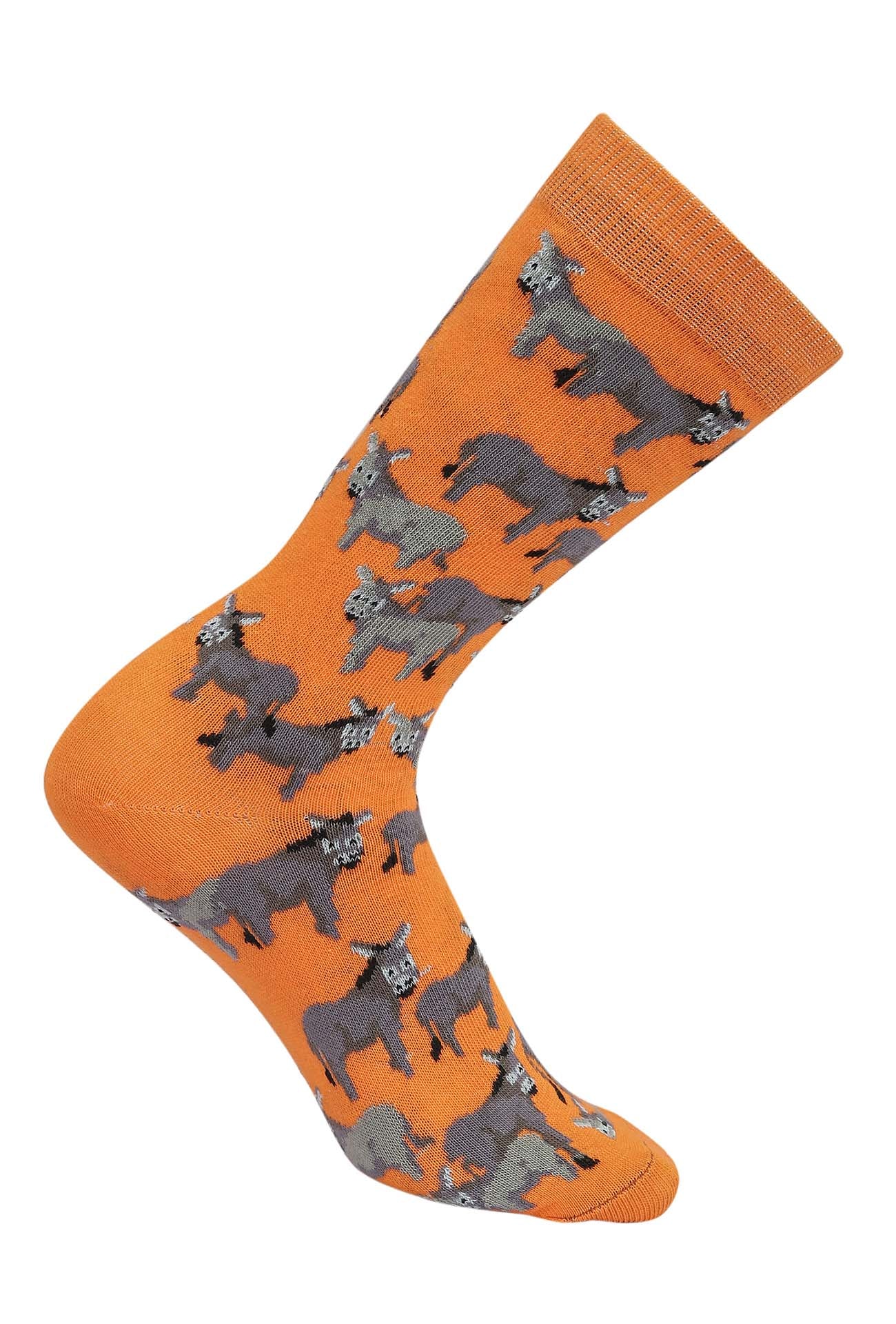 AWST Int'l Donkey Love Socks 6 pack - Image 5