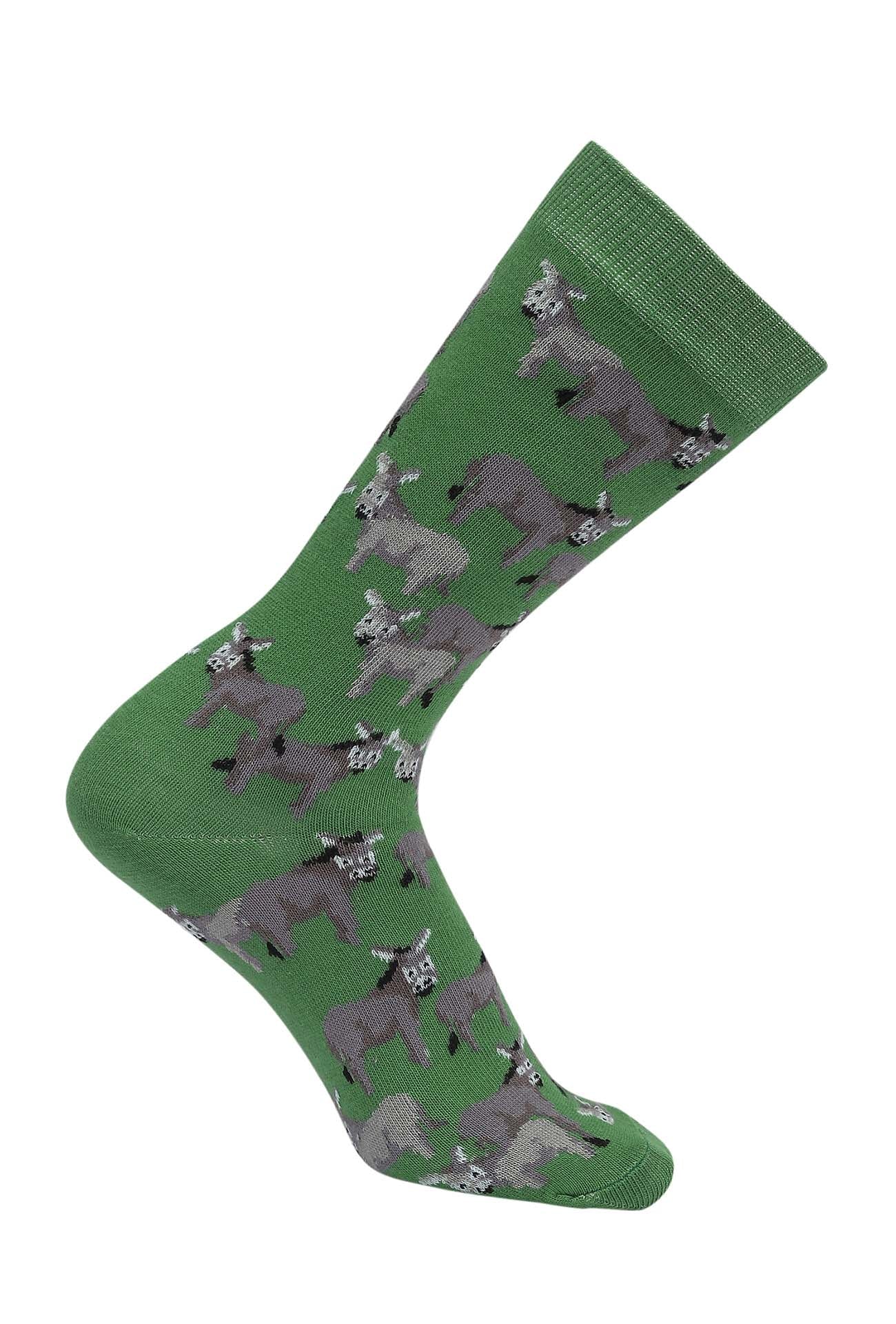 AWST Int'l Donkey Love Socks 6 pack - Image 7