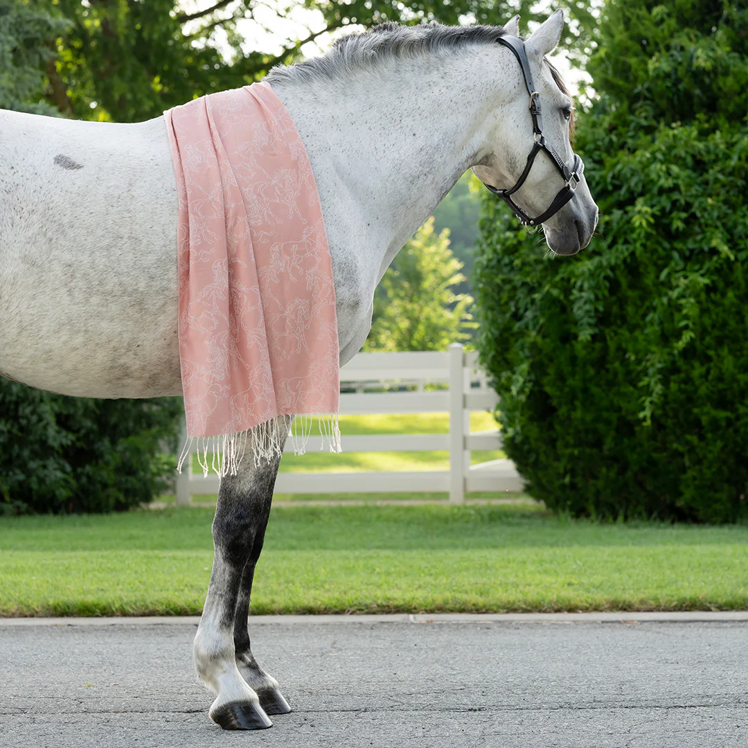 AWST Int'l Lila Linear Horses Pashmina Scarf - Image 4
