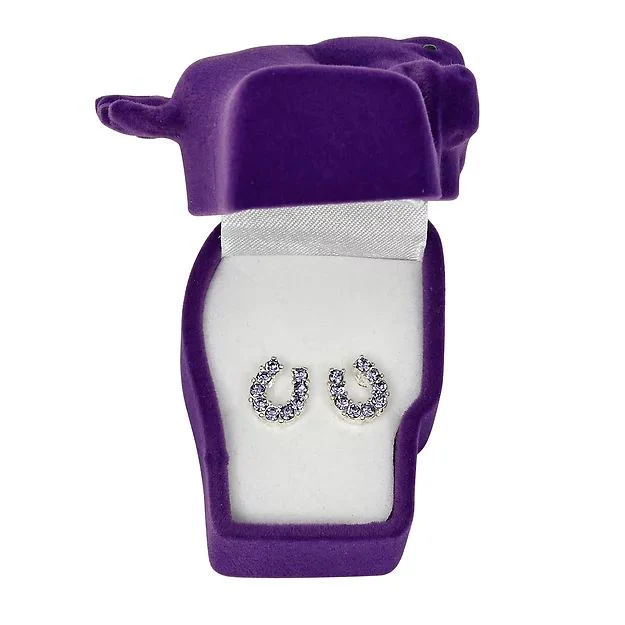 AWST Int'l Rhinestone Horseshoe Earrings  w/Horse Head Gift Box - Image 11