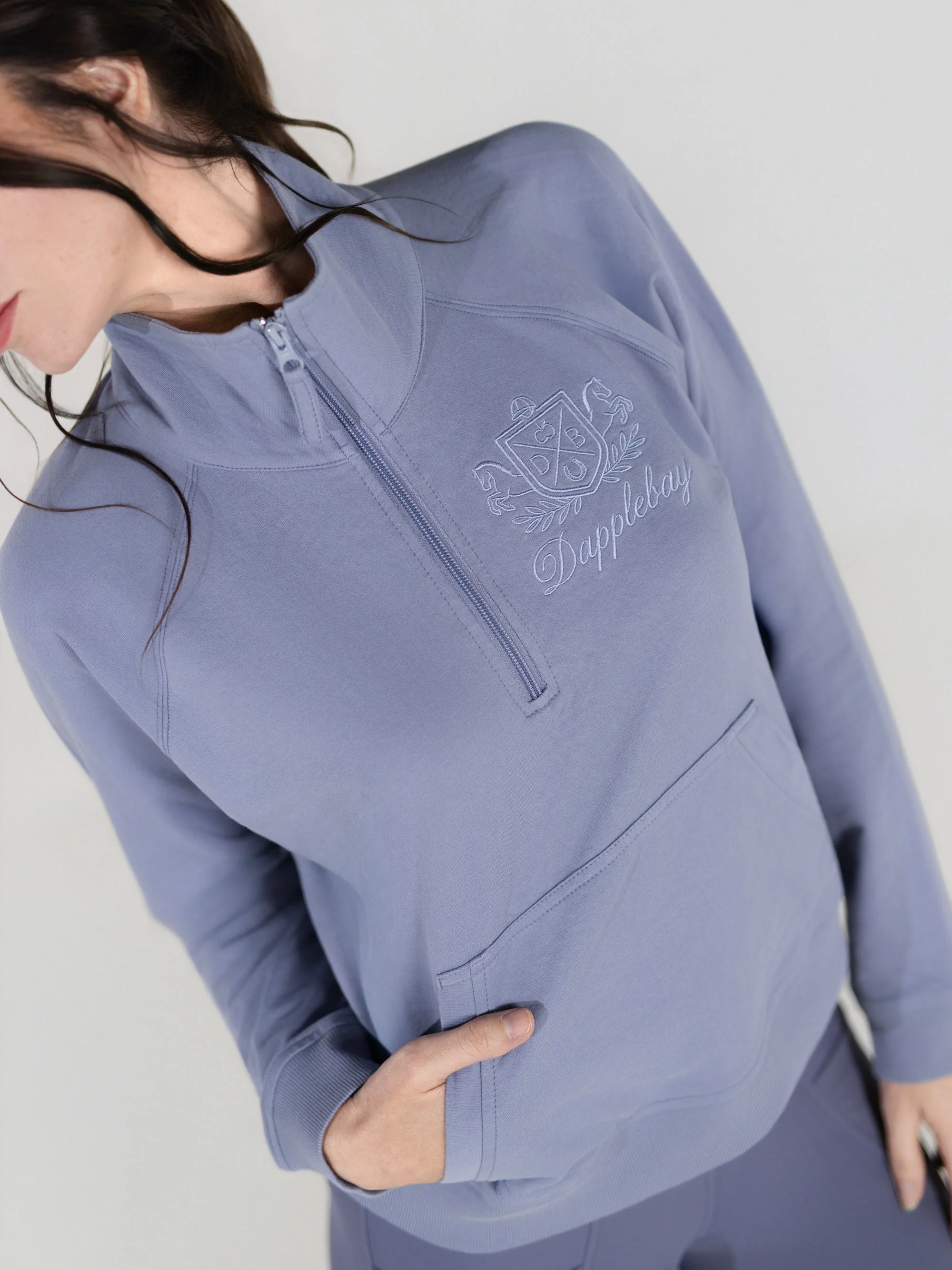 Dapplebay Crest 1/2 Zip French Terry Sweatshirt-Moonrise - Image 5