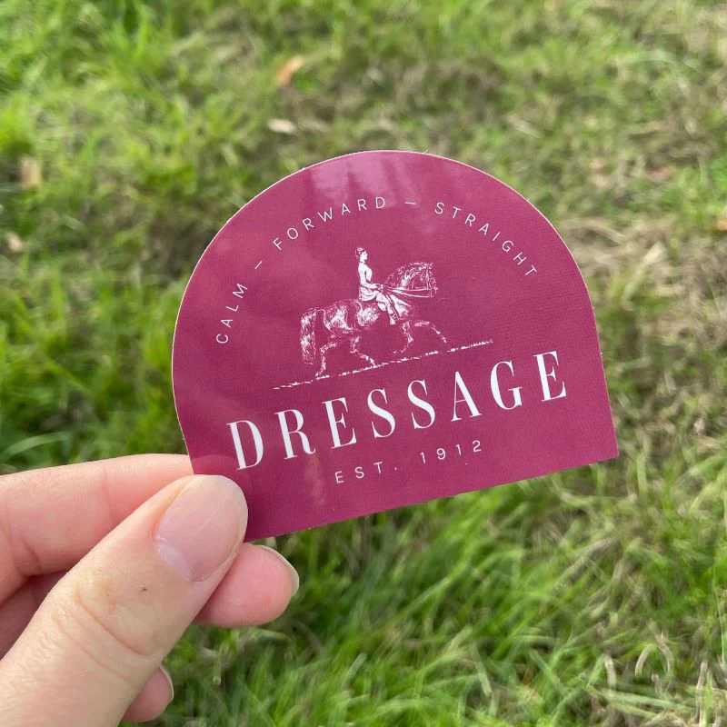 Dapplebay Dressage Sticker Pack - Image 6