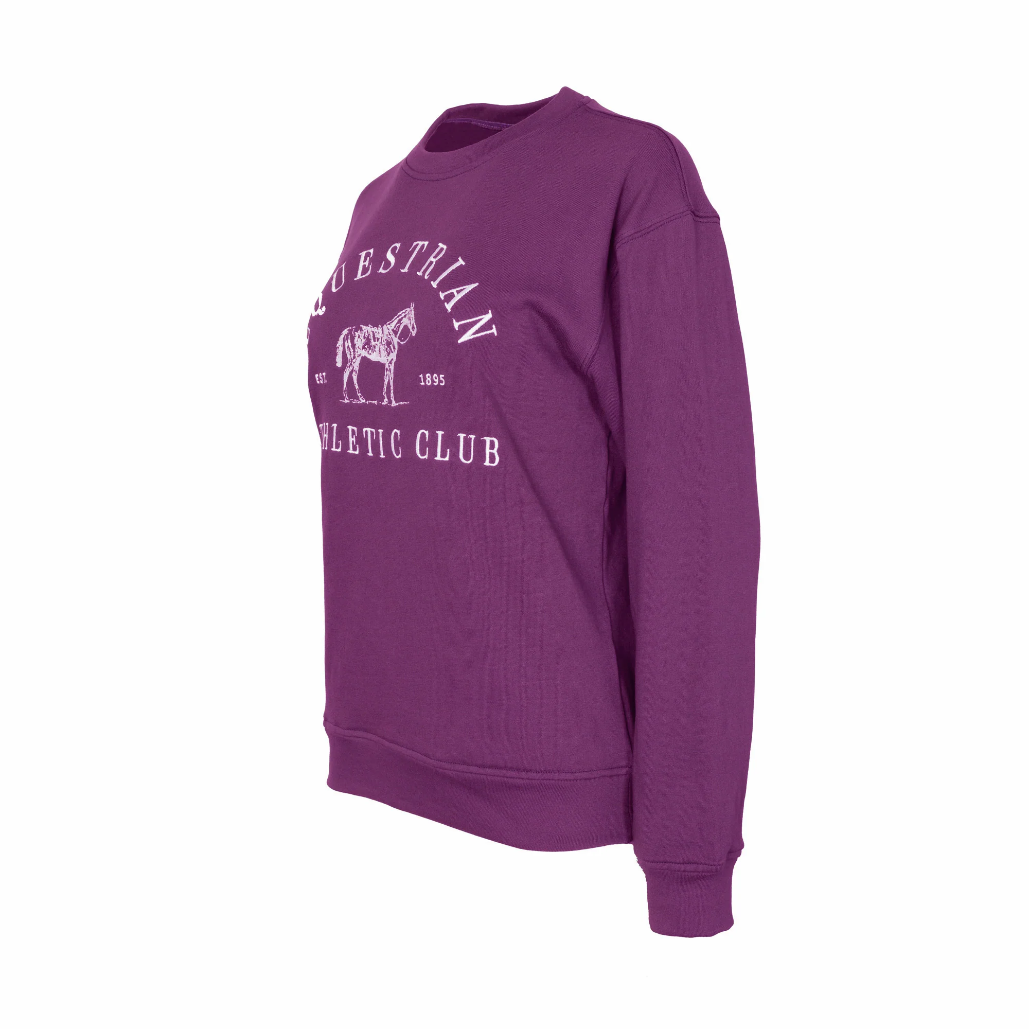Dapplebay Equestrian Athletic Club Sweatshirt - Embroidery - Image 7