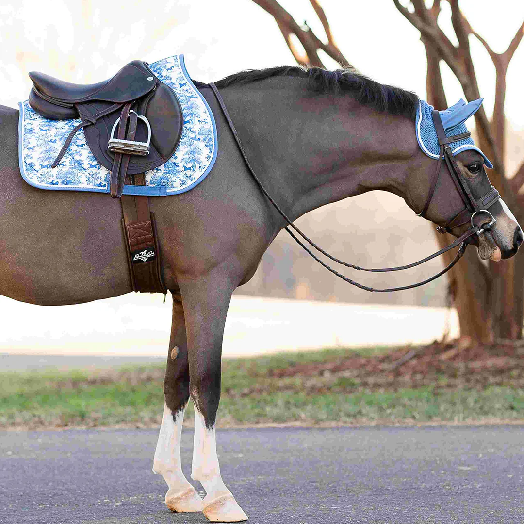 Dapplebay Equestrian Toile Fly Veil-Blue/White - Image 5