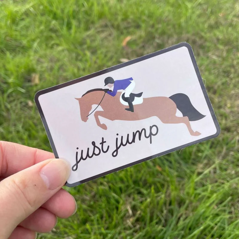 Dapplebay Jumper Sticker Pack - Image 4