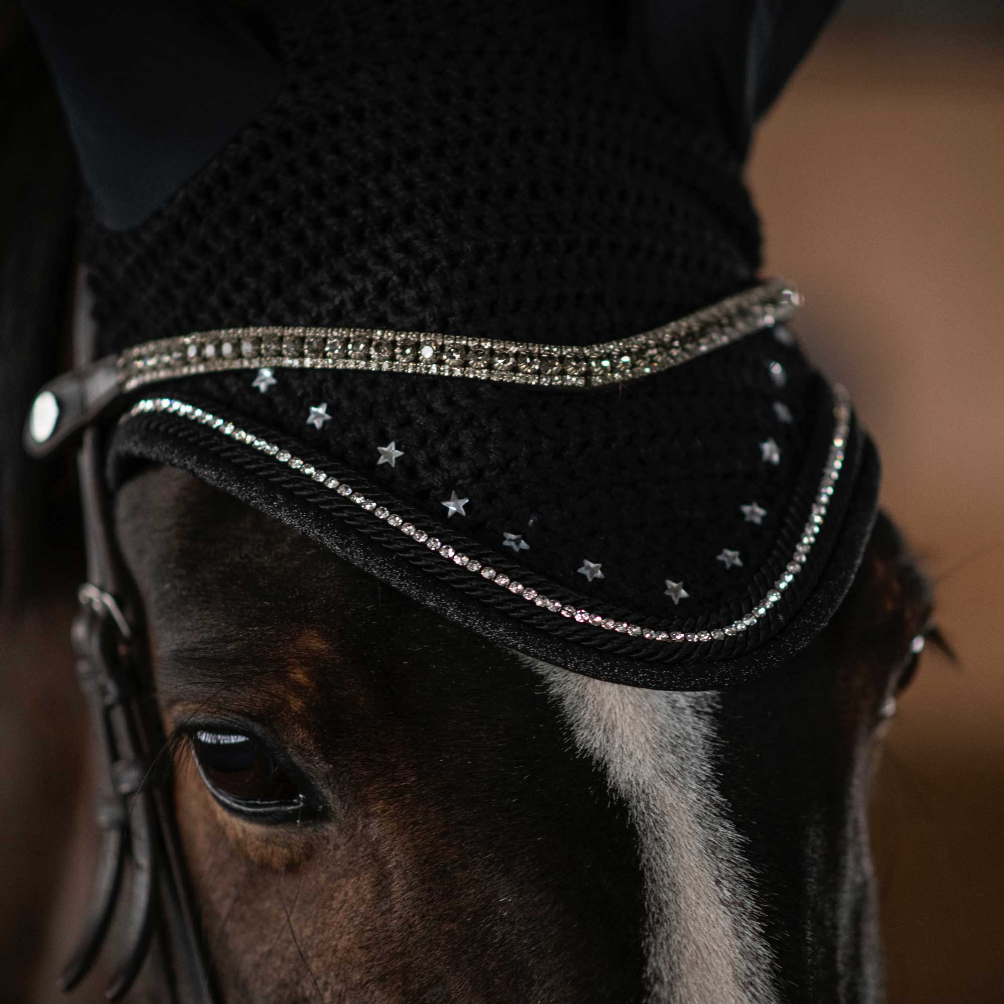 Dapplebay Shine On Fly Veil - Image 3