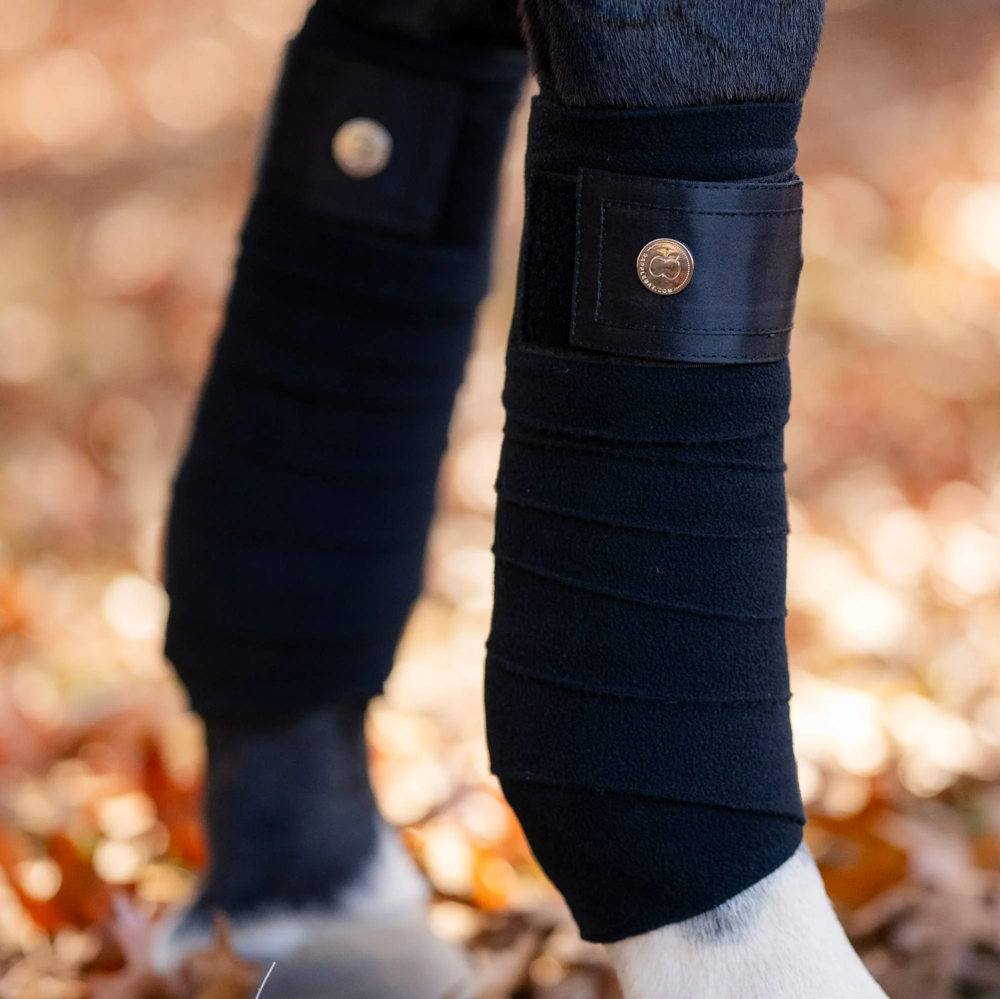 Dapplebay  Sport Polo Wraps - Black - Image 3