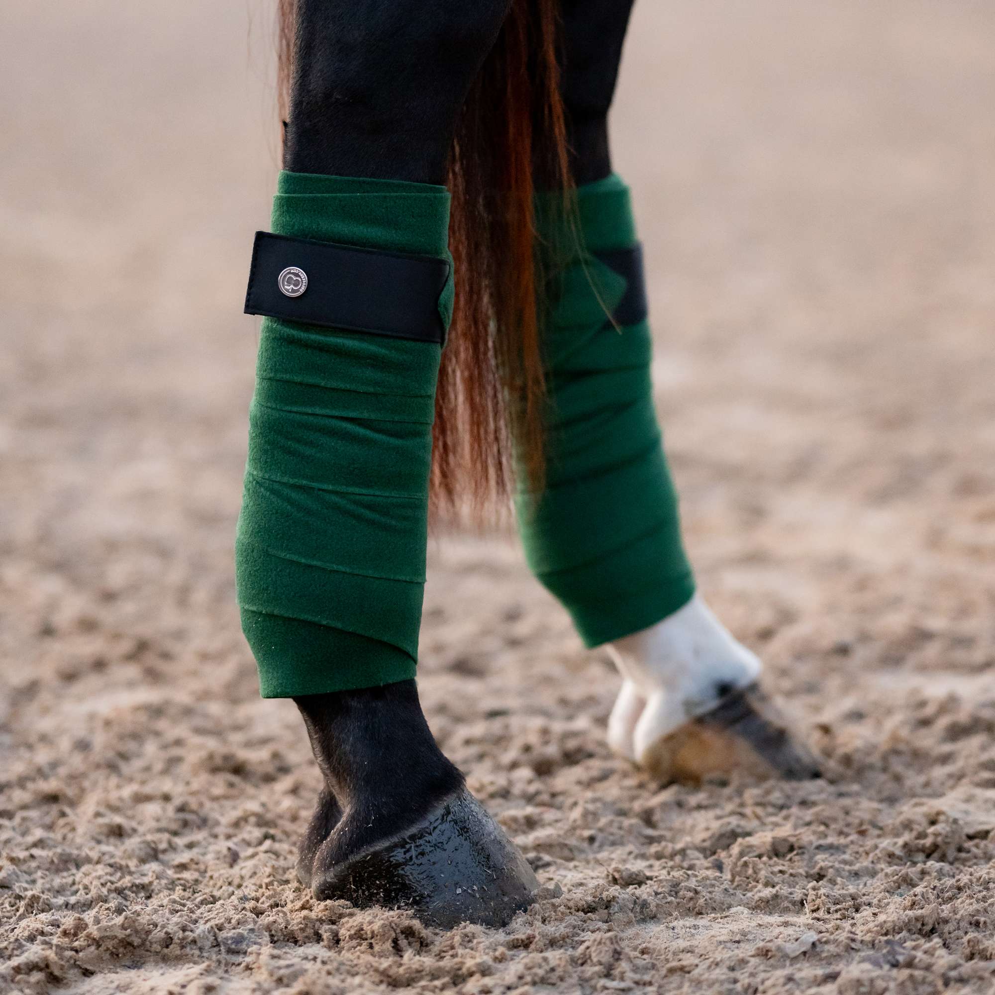 Dapplebay  Sport Polo Wraps - Evergreen - Image 2