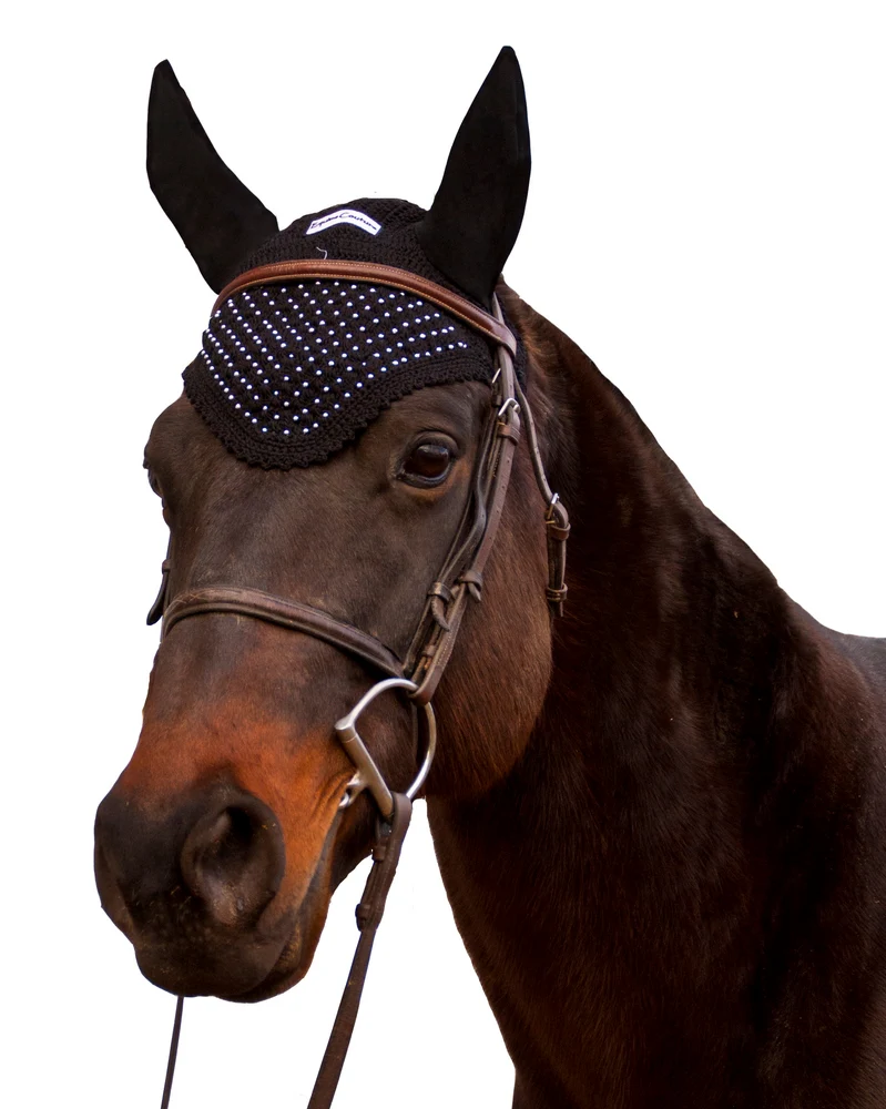Equine Couture Fly Bonnet - Image 3