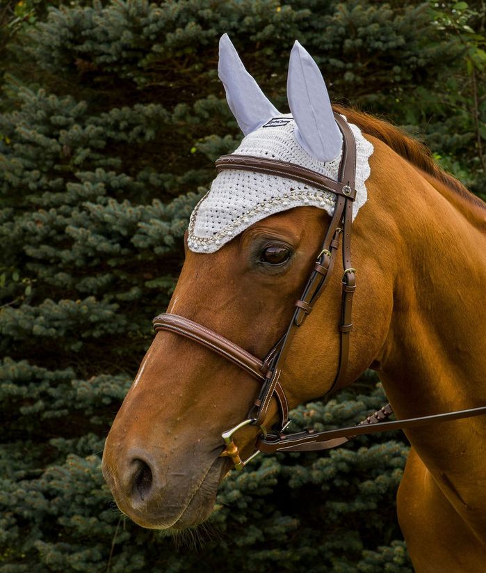 Equine Couture Fly Bonnet with Pearls and Crystals - Image 3