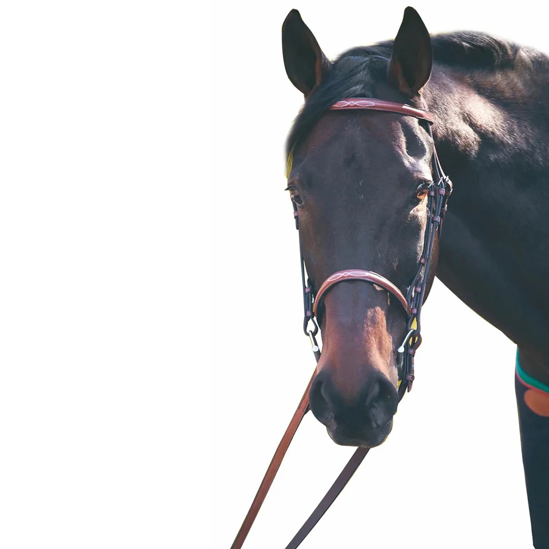 Henri de Rivel Advantage Fancy Raised Snaffle Bridle With Laced Reins - Image 9
