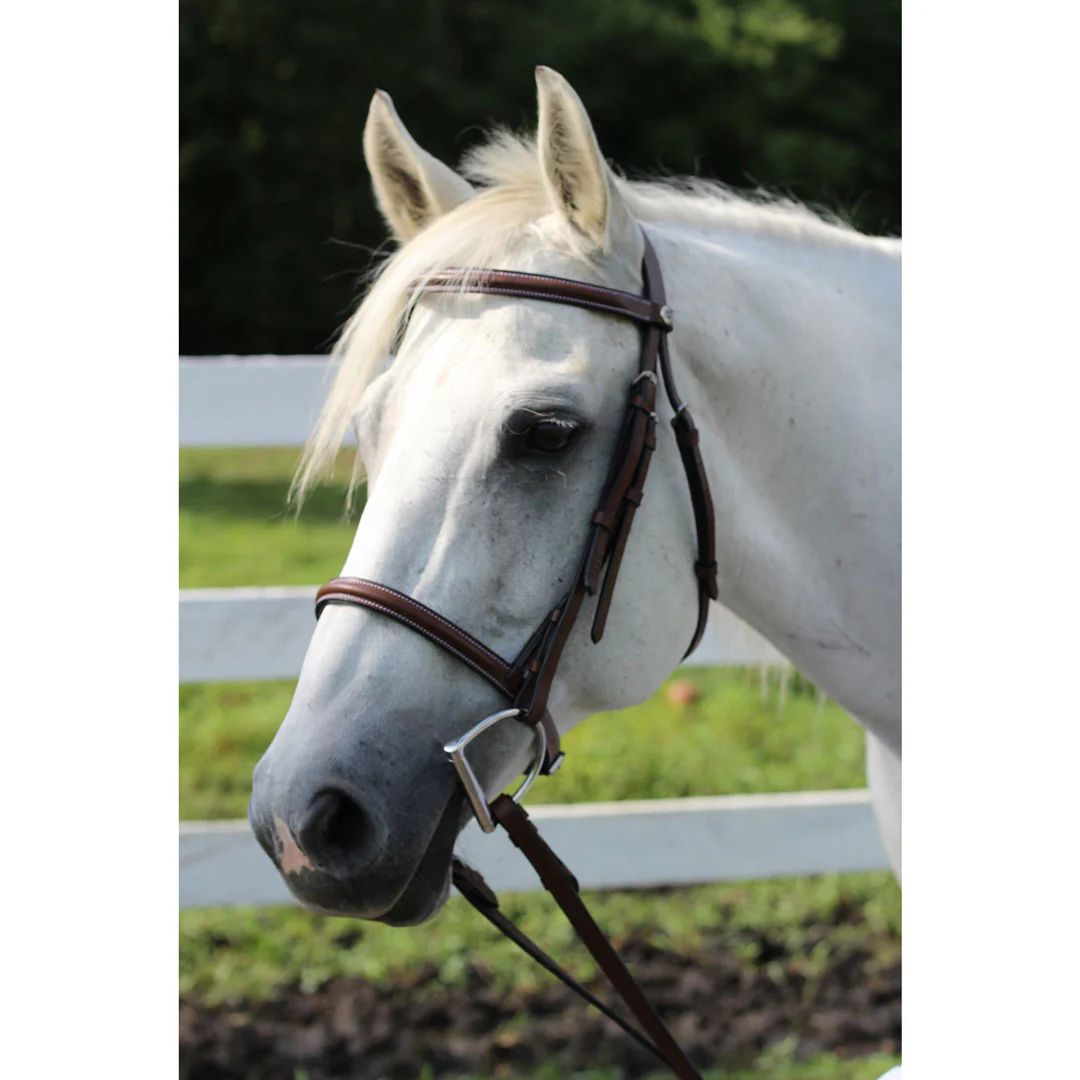 Henri de Rivel Advantage Plain Raised Snaffle Bridle With Laced Reins - Image 2