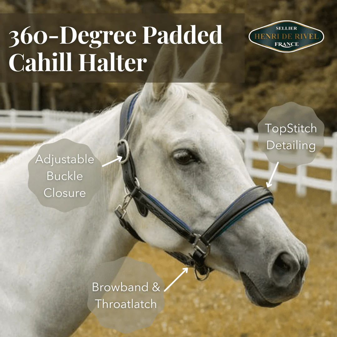 Henri De Rivel 360-Degree Padded Cahill Halter - Image 3