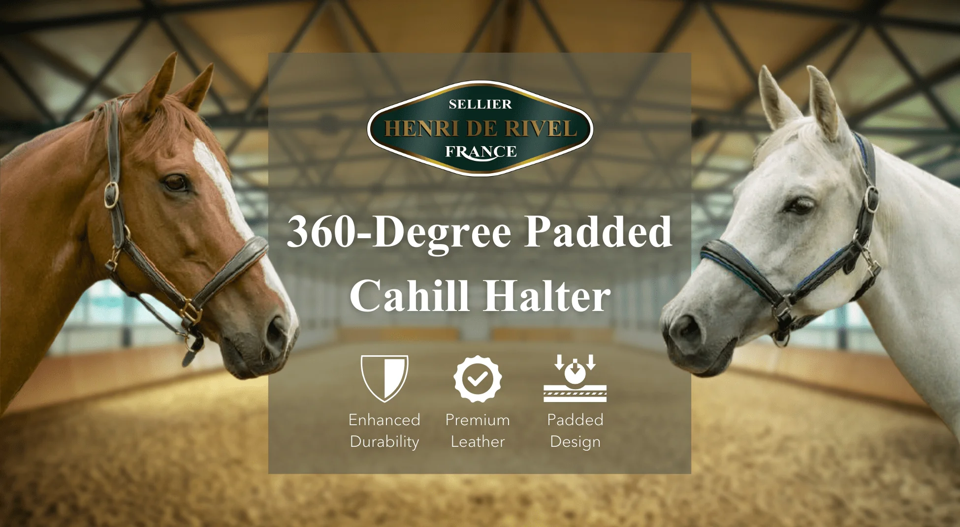 Henri De Rivel 360-Degree Padded Cahill Halter - Image 4