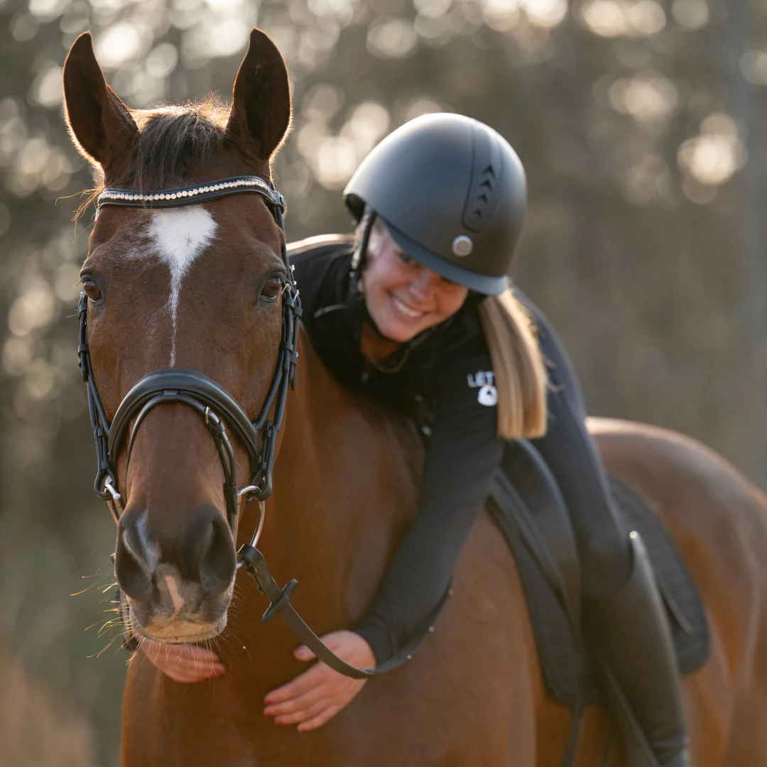 Henri de Rivel Diamonte Dressage Bridle - Image 3