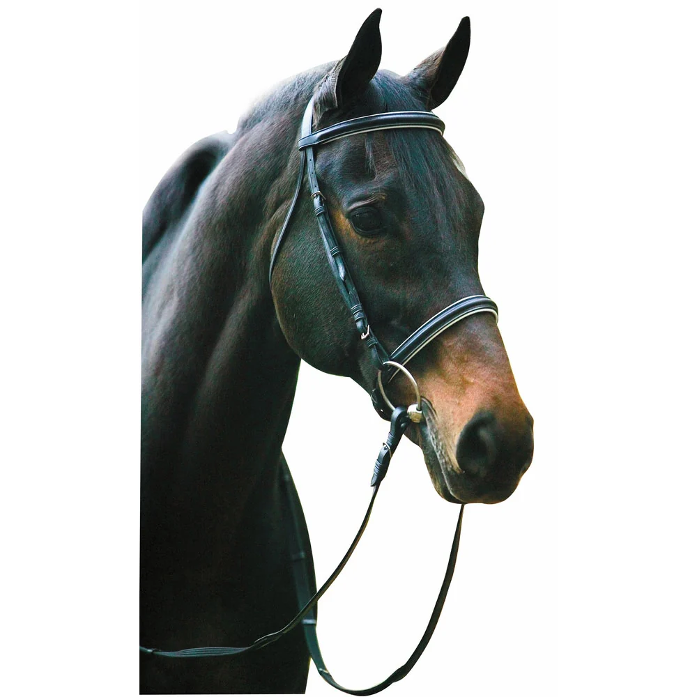 Henri de Rivel Pro Padded Dressage Bridle with Web Reins - Image 5