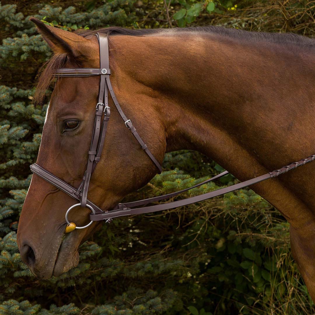 Henri de Rivel Advantage Fancy Raised Padded Bridle With Laced Reins - Image 2