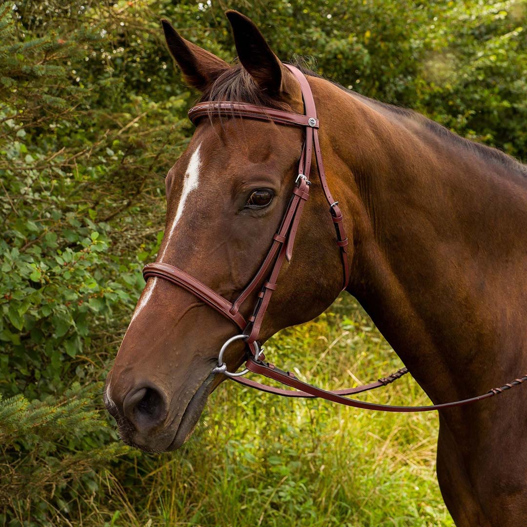 Henri de Rivel Advantage Fancy Raised Padded Bridle With Laced Reins - Image 3