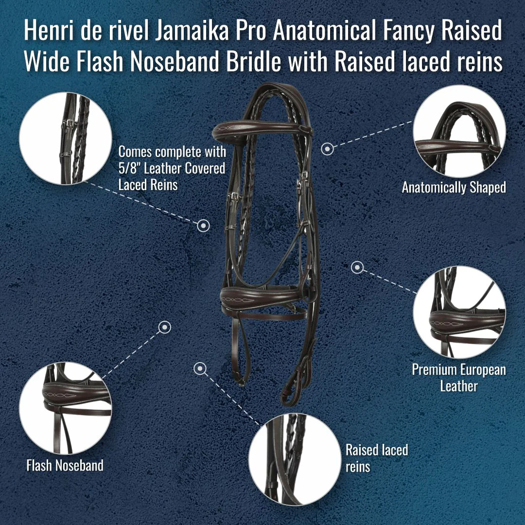 Henri de rivel Jamaika Pro Anatomical Fancy Raised Wide Flash Noseband Bridle with Raised laced reins - Image 2