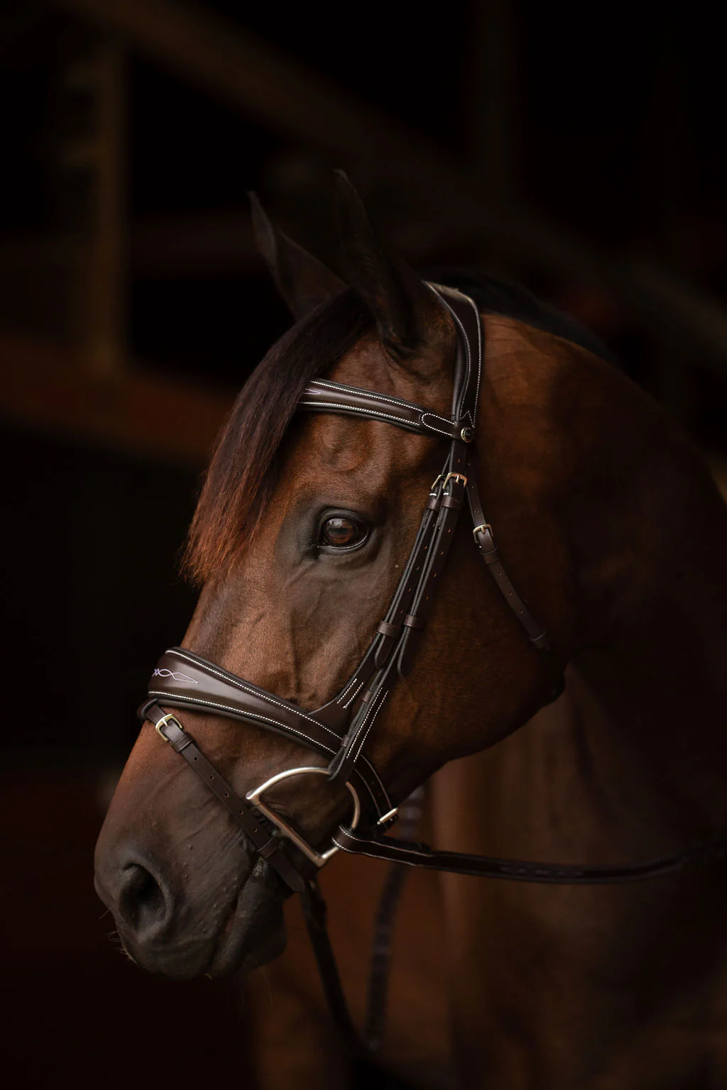 Henri de rivel Jamaika Pro Anatomical Fancy Raised Wide Flash Noseband Bridle with Raised laced reins - Image 5