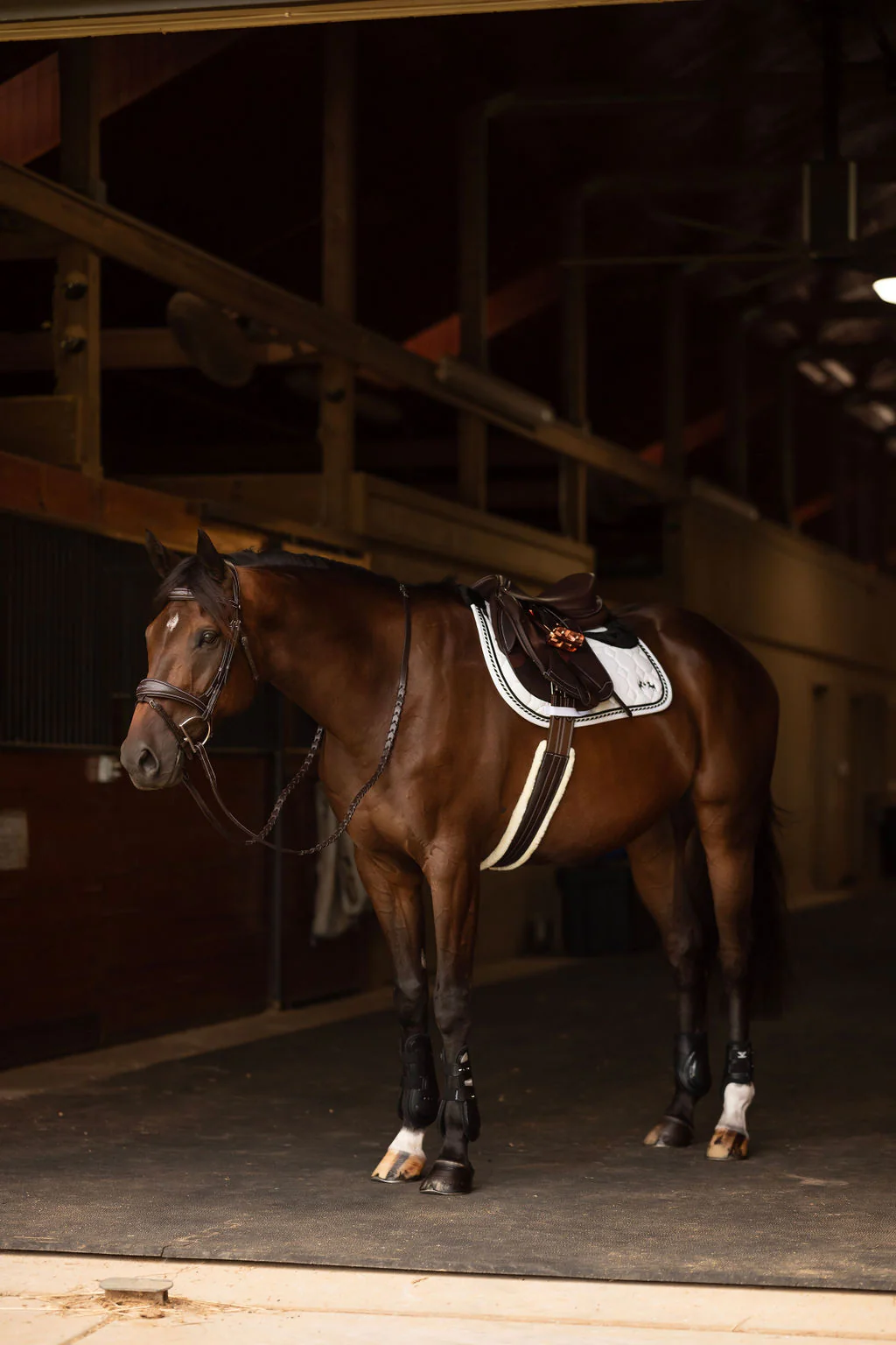 Henri de rivel Jamaika Pro Anatomical Fancy Raised Wide Flash Noseband Bridle with Raised laced reins - Image 7