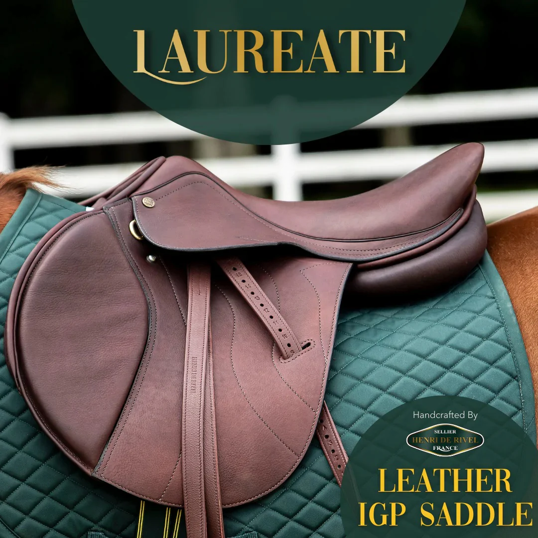 Henri De Rivel Laureate Leather IGP Saddle - Image 5