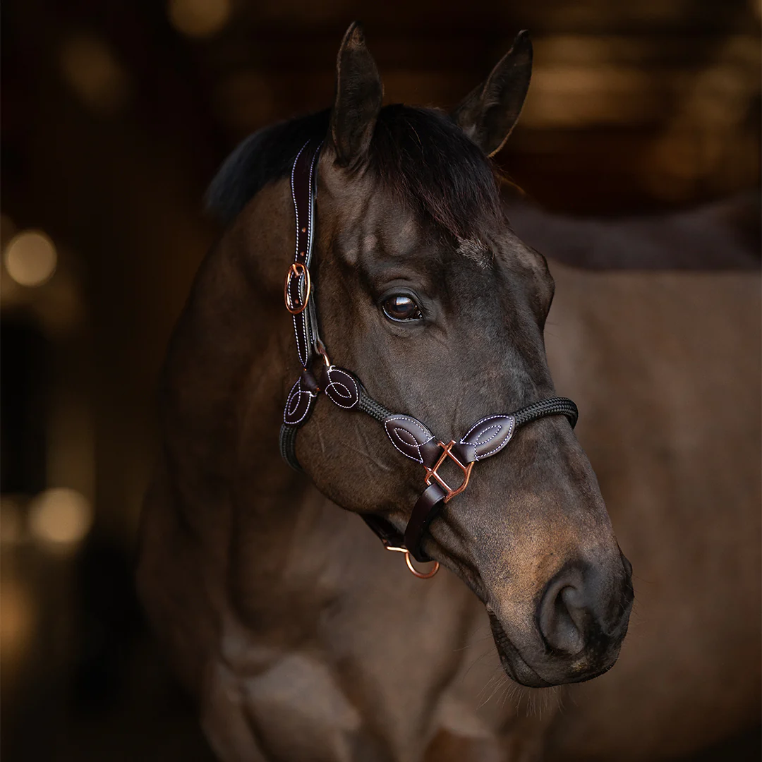 Henri de Rivel Ergonomic Leather Rope Halter - Image 3