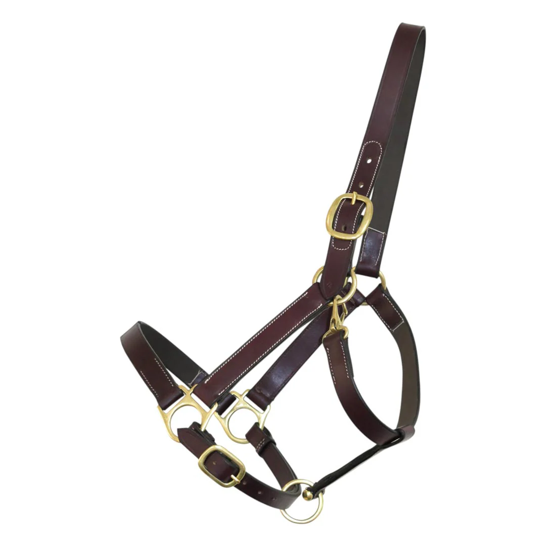 Henri de Rivel Leather Turnout Halters With Snap - Image 2