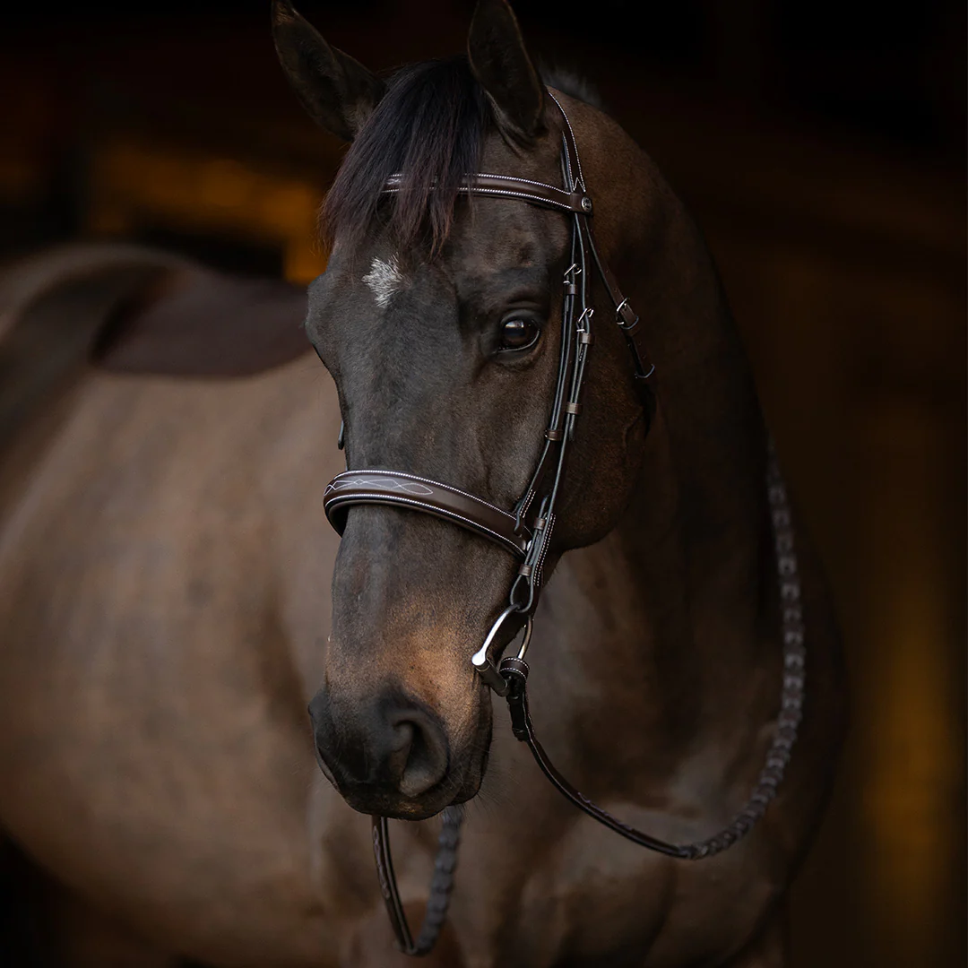 Henri de Rivel Pro Mono Crown Bridle with Padded Wide Noseband  with Laced Reins - Image 3