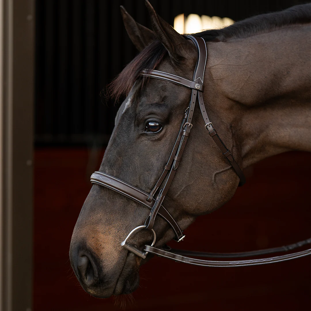 Henri de Rivel Pro Mono Crown Bridle with Padded Wide Noseband  with Laced Reins - Image 4