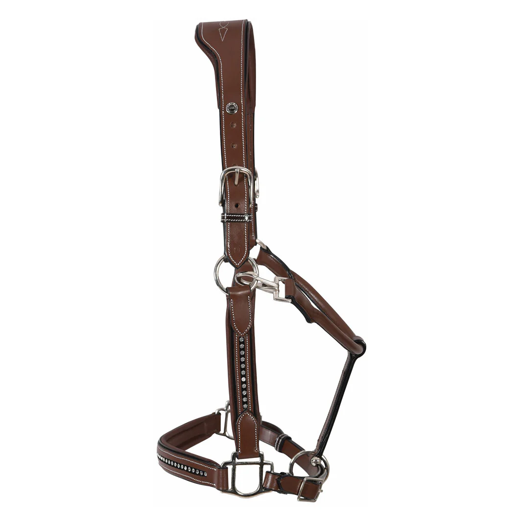 Henri de Rivel Padded Crystal Halter - Image 3