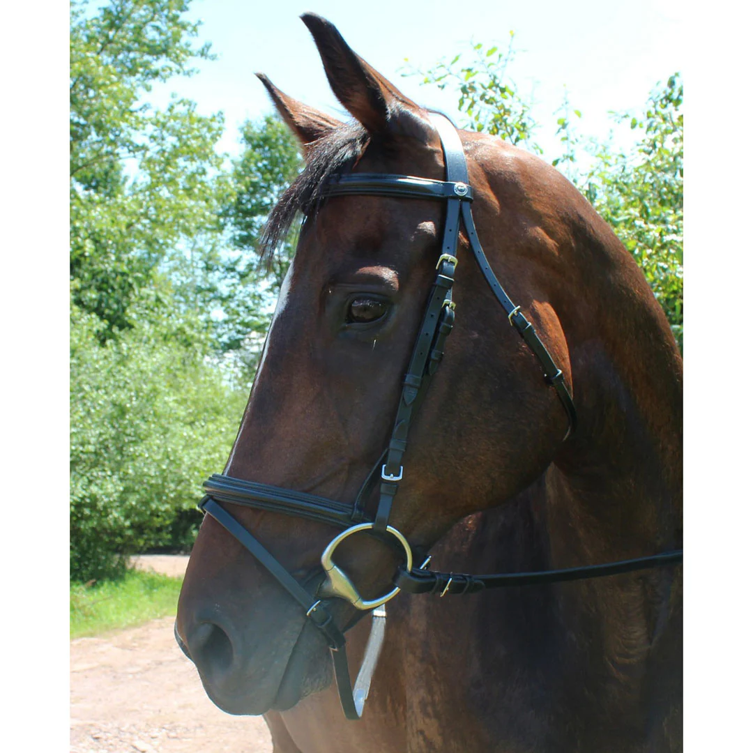 Henri de Rivel Pro Padded Dressage Bridle with Flash and Web Reins - Image 2