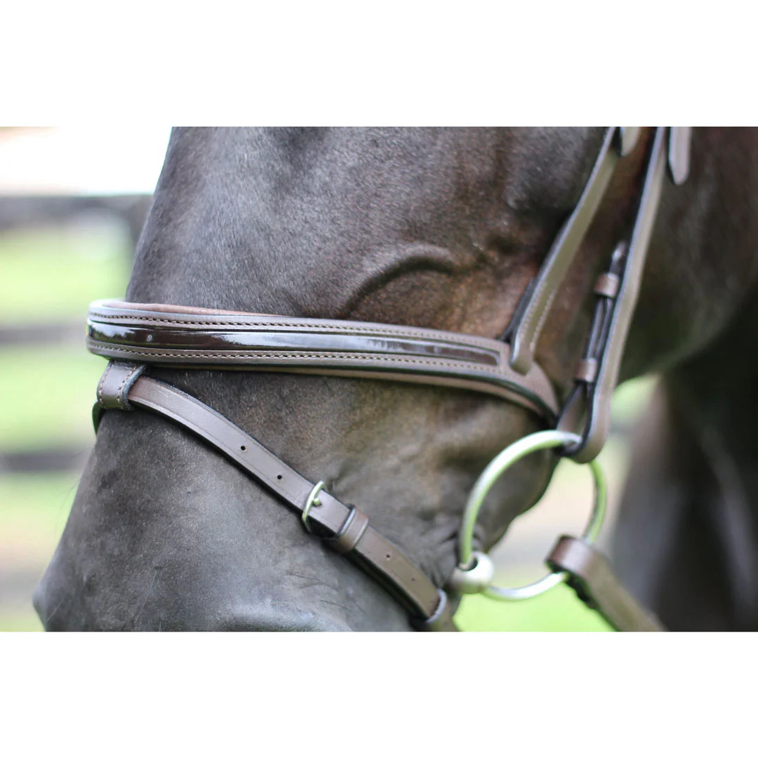 Henri de Rivel Pro Piaffe Mono Crown Bridle with Flash Noseband with Patent Leather - Image 3