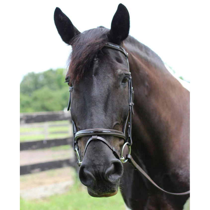 Henri de Rivel Pro Piaffe Mono Crown Bridle with Flash Noseband with Patent Leather - Image 4