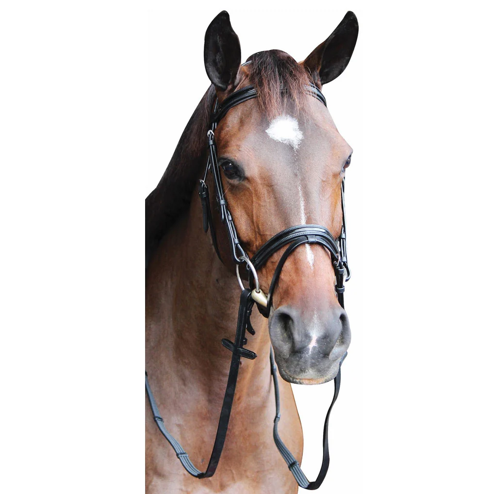 Henri de Rivel Pro Piaffe Mono Crown Bridle with Flash Noseband with Patent Leather - Image 6