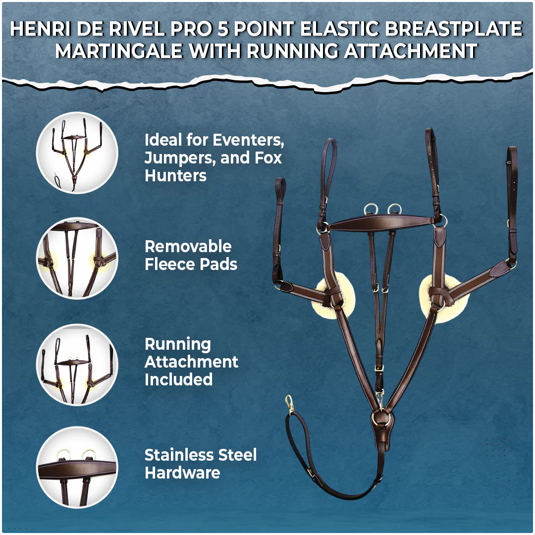Henri de Rivel Pro 5 Point Elastic Breastplate Martingale with Running Attachment - Image 2