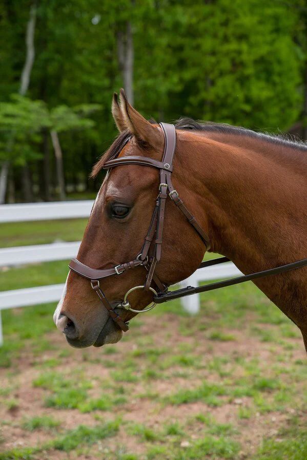 Henri de Rivel Pro Anatomical Bridle - Image 2