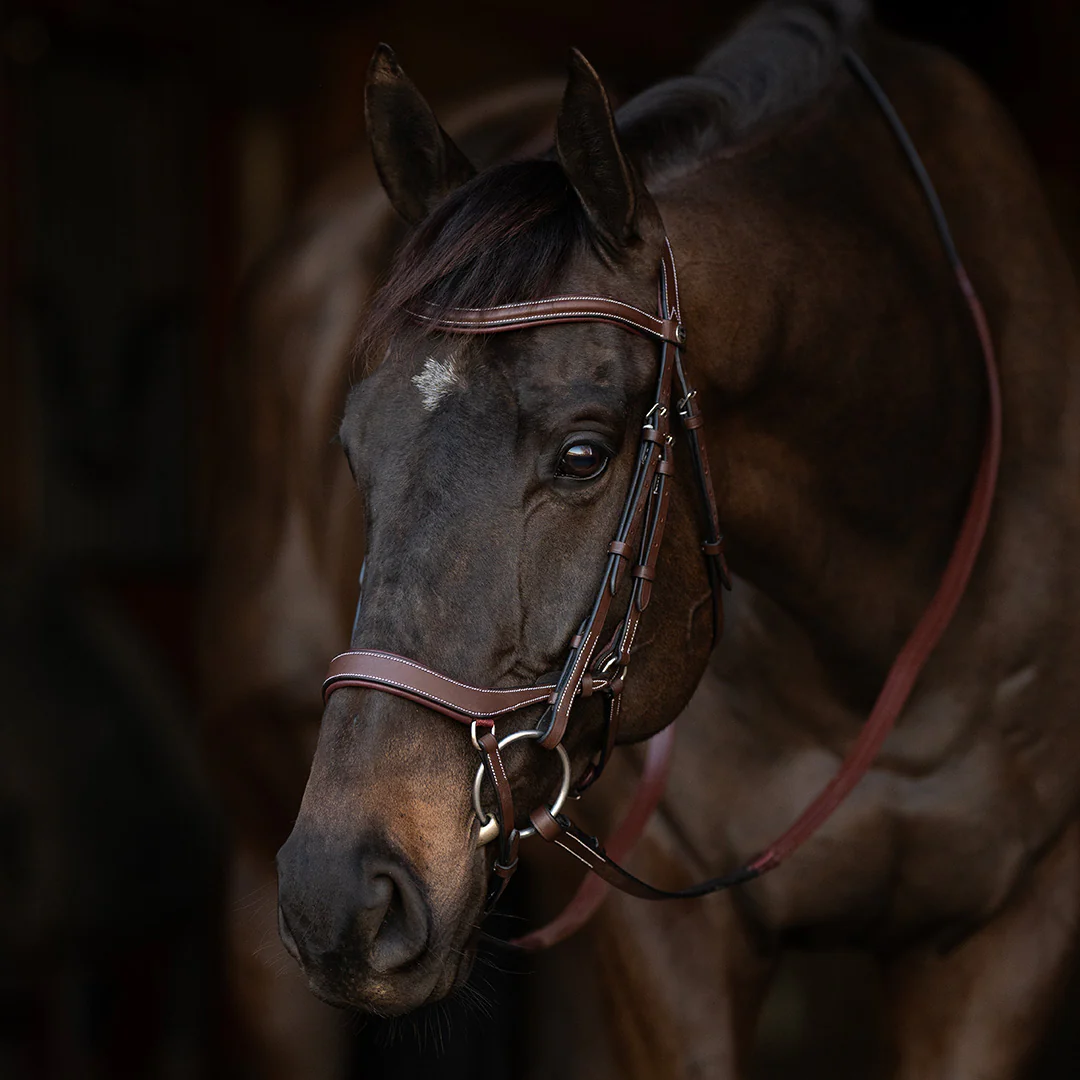 Henri de Rivel Pro Anatomical Bridle - Image 3