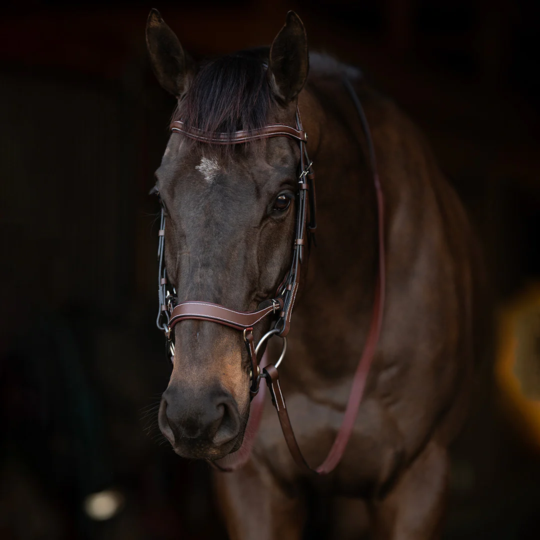 Henri de Rivel Pro Anatomical Bridle - Image 4