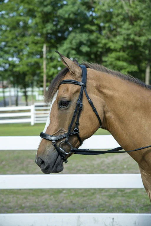 Henri de Rivel Pro Anatomical Bridle - Image 5