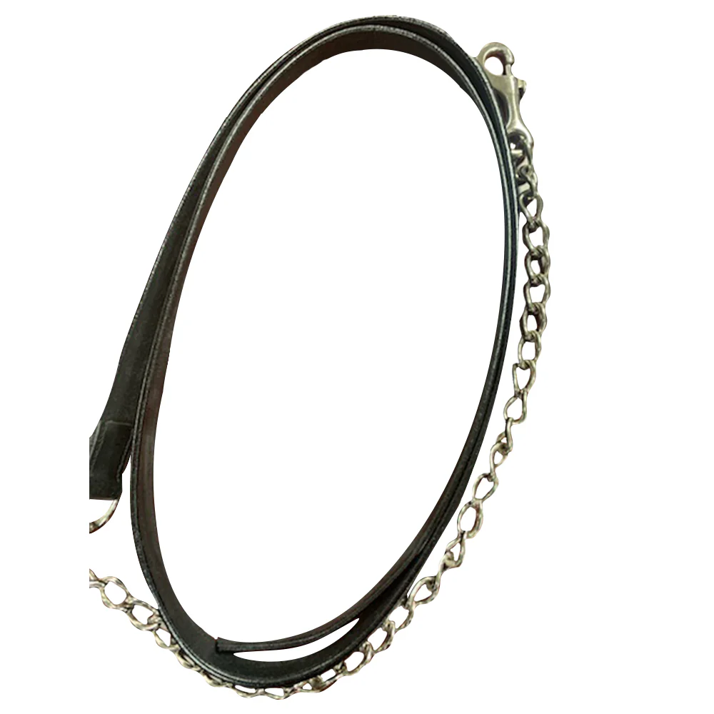 Henri de Rivel Pro Collection Leather Lead with 24" Solid Brass Chain - Image 2